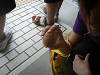 main11796_thumb.png