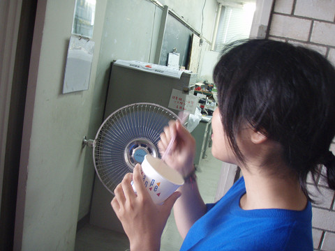 main12865.jpg