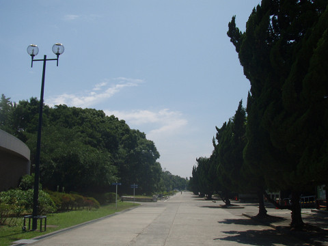 main12887.jpg