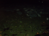 main13023_thumb.png